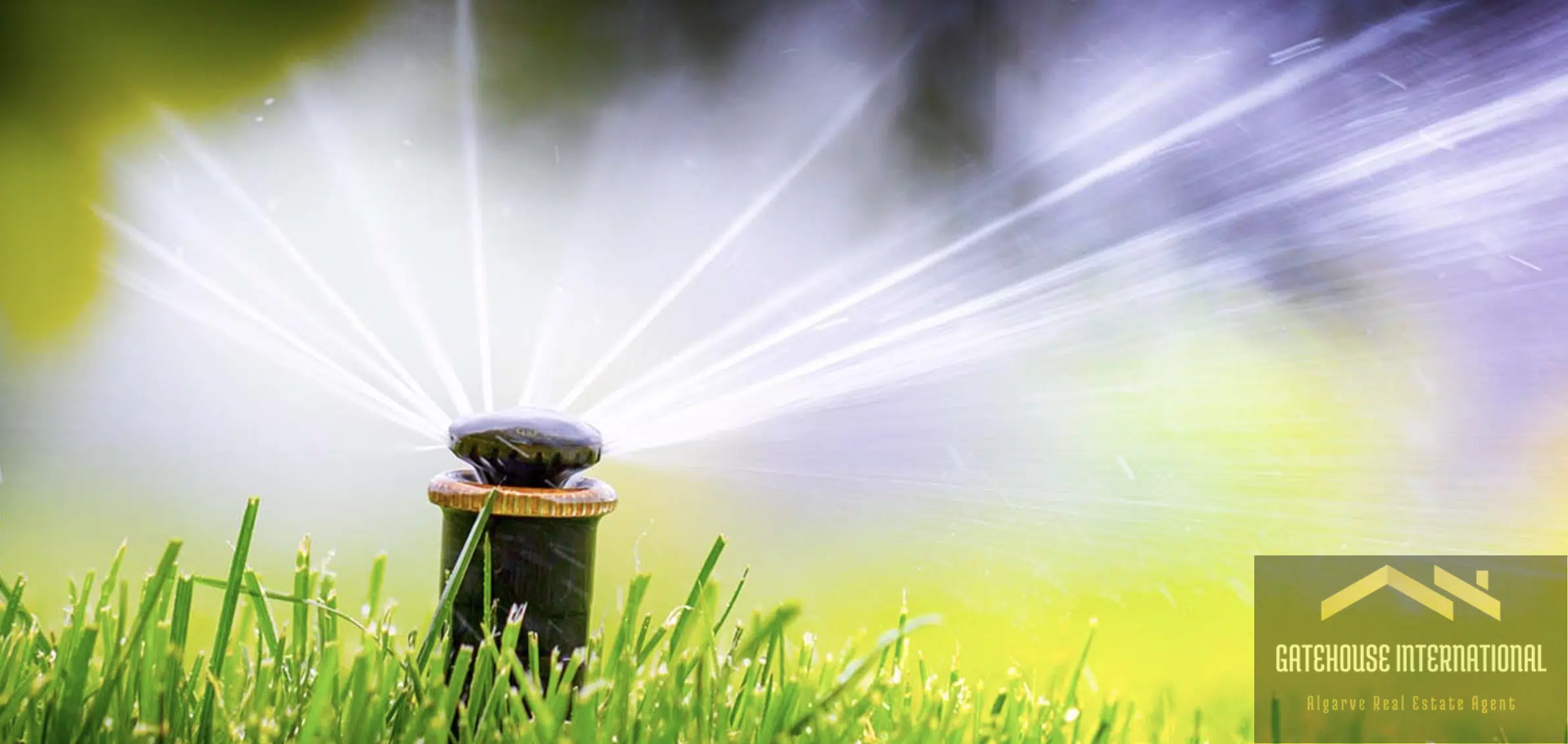 Benefits of Installing a Sprinkler System in Your Algarve Garden