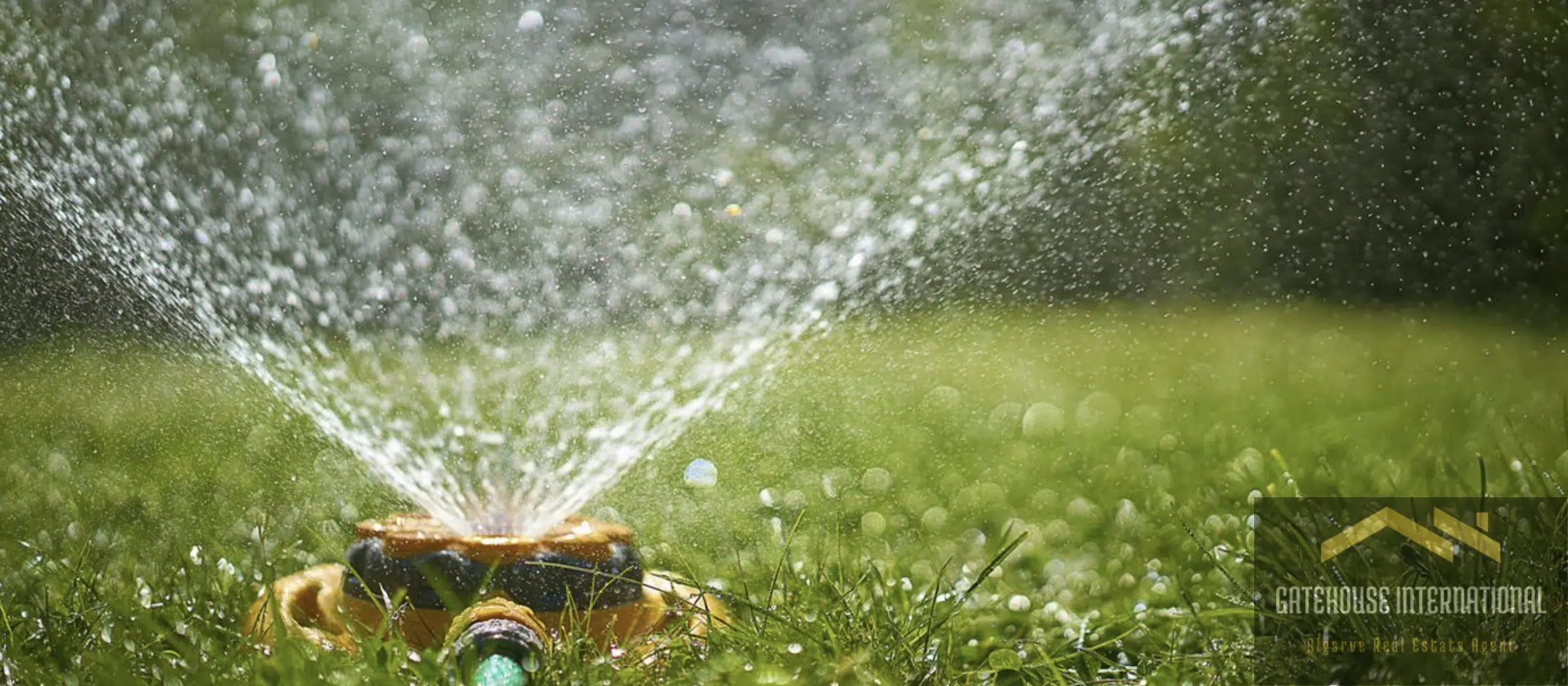 How to Choose the Best Sprinkler System for Your Algarve Garden
