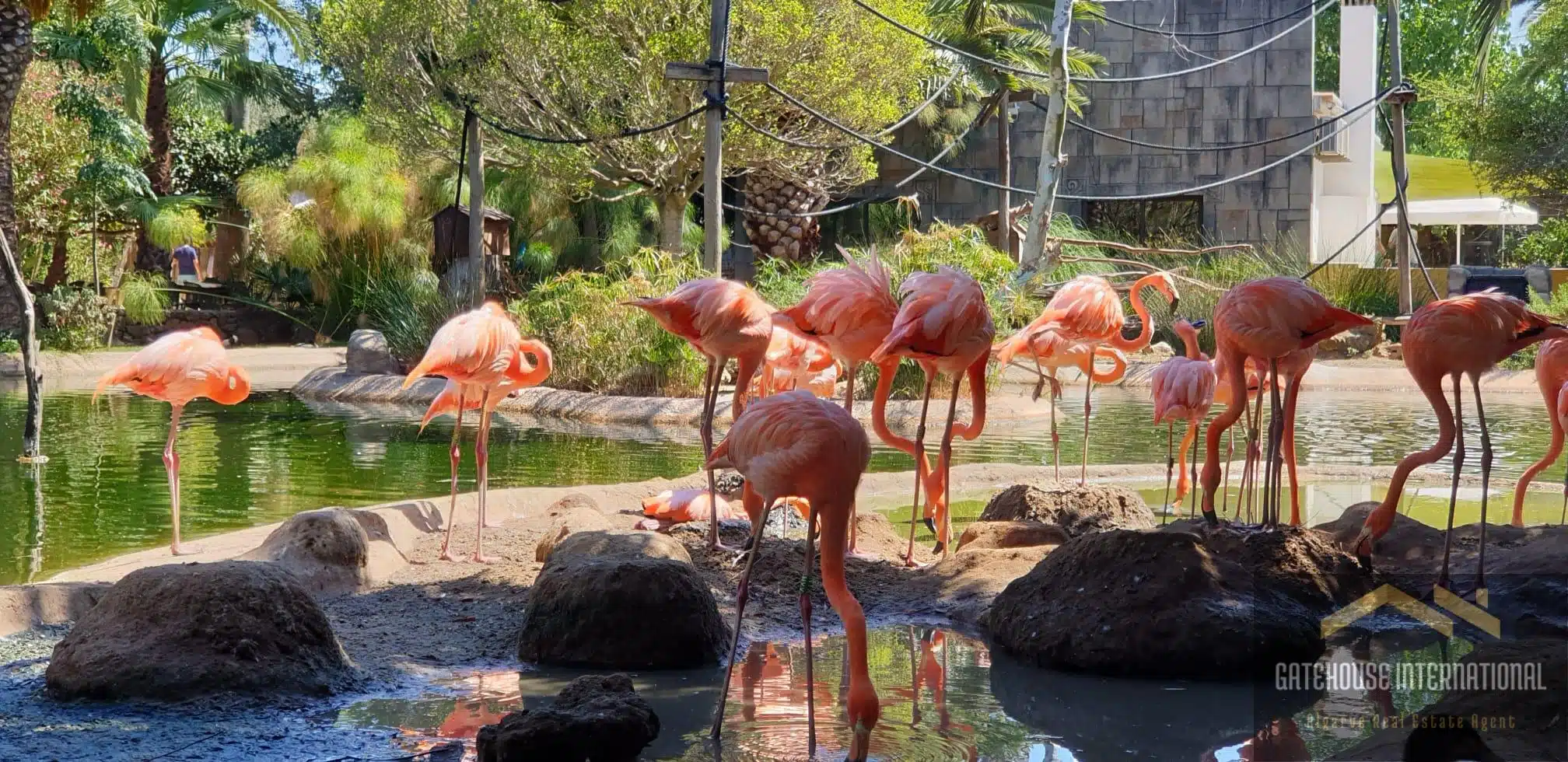 Lagos Zoo