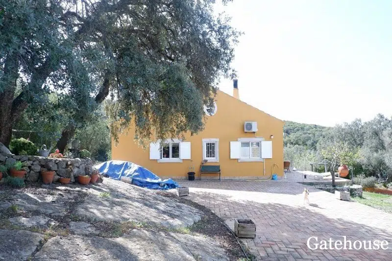 3 Bed One Level Villa With A 2120m2 Plot In Santa Barbara De Nexe Algarve