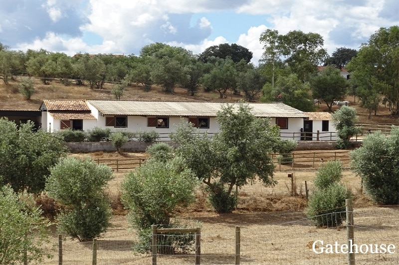 Alentejo Farmhouse In Ourique 14.5 Hectares Lake View
