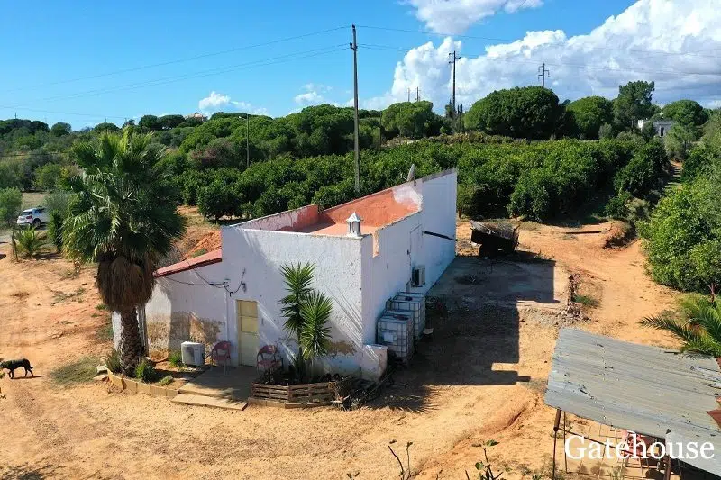Farmhouse With 42350m2 Plot In Semino Quarteira Algarve 78 1