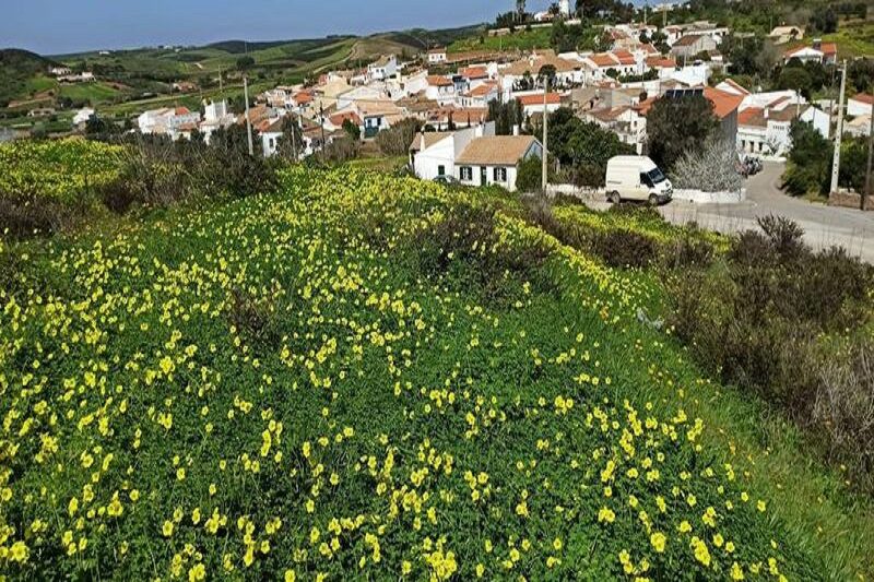 Land For Sale In Raposeira Vila do Bispo Algarve 6