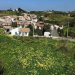 Land For Sale In Raposeira Vila do Bispo Algarve 6 0 1 680x510 1
