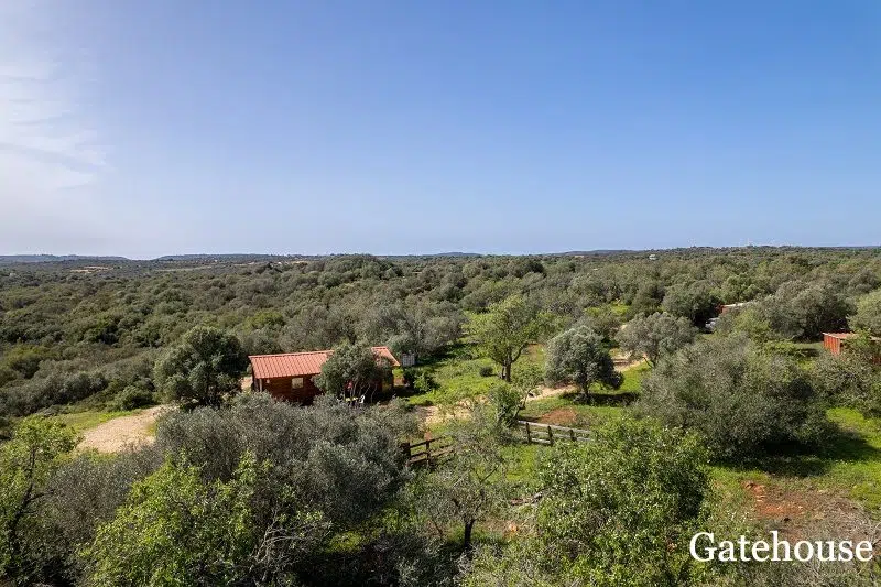 Land With Agriculture Project For Livestock In Lagos Algarve 87 1