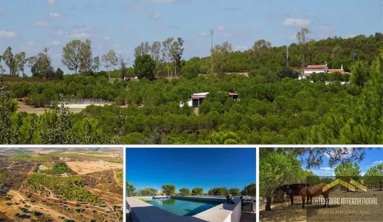 Farmhouse With 8.5 Hectares In East Algarve