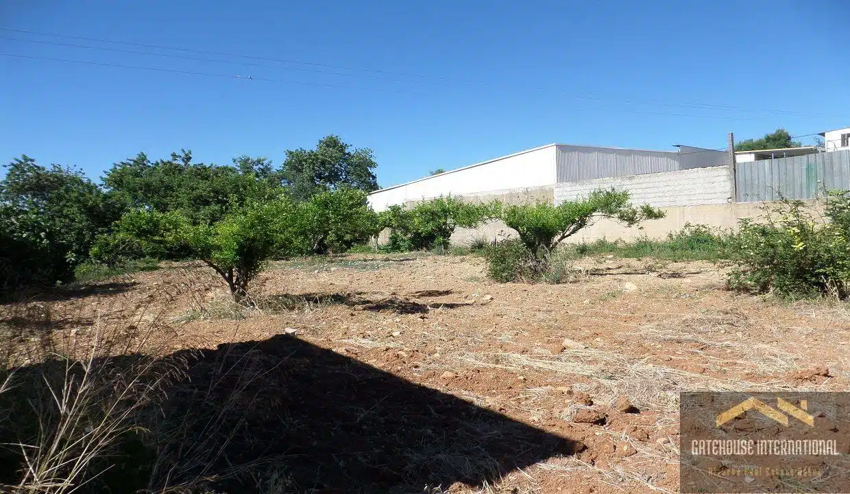 Property Ruin With 2000m2 Plot In Sao Bras Algarve6