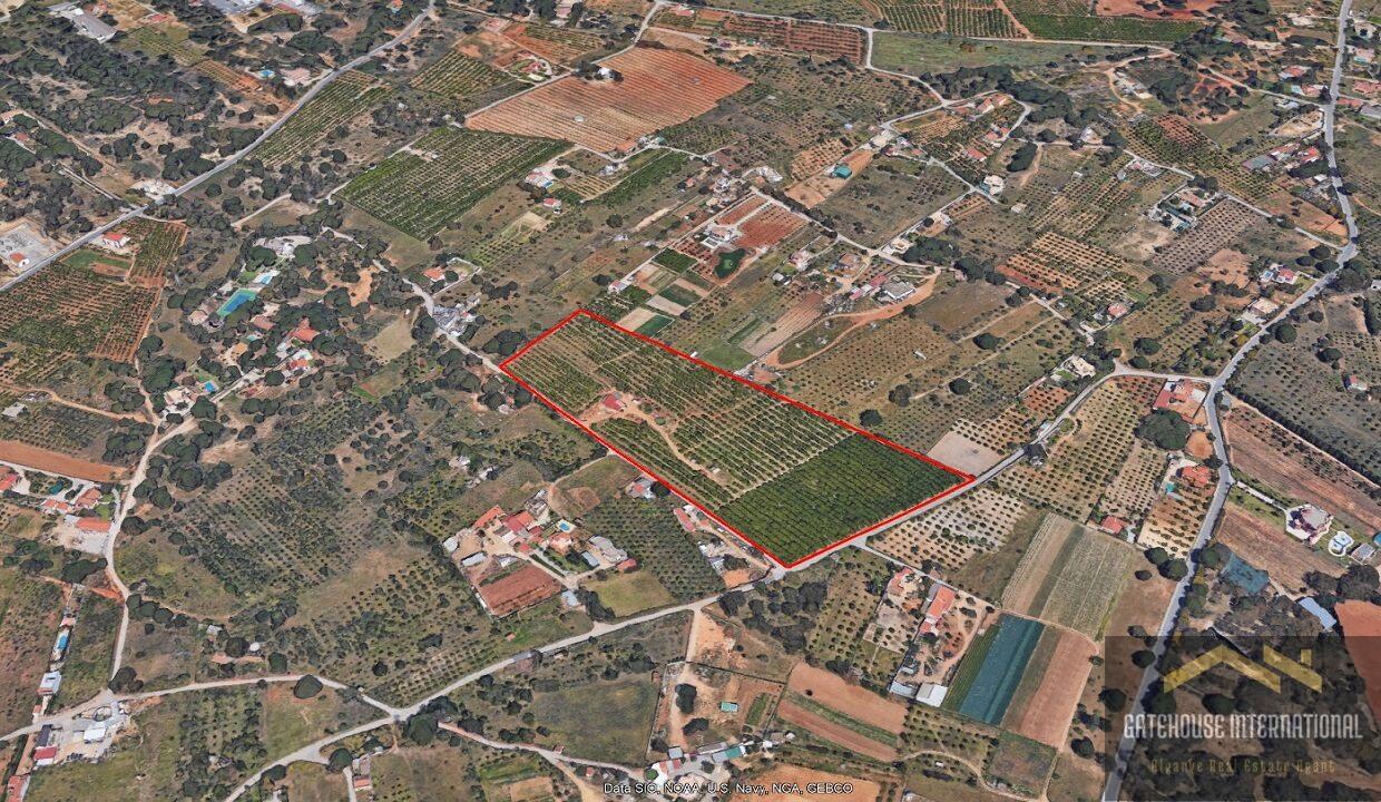 4 Hectare Building Plot With Project Approved For Sale Near Fonte Santa Almancil 13