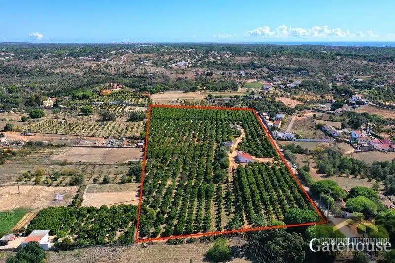 Farmhouse With 42350m2 Plot In Semino Quarteira Algarve 4 1