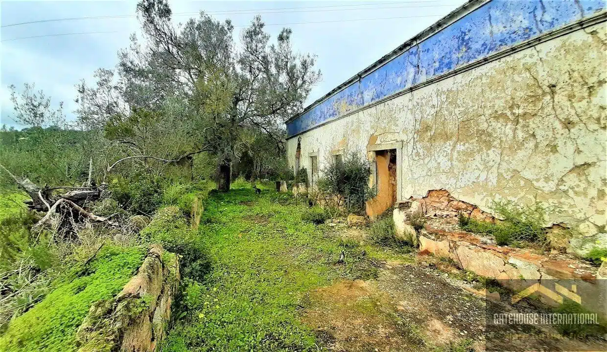 2 Hectare Plot With Ruin In Loule Algarve For Sale 3