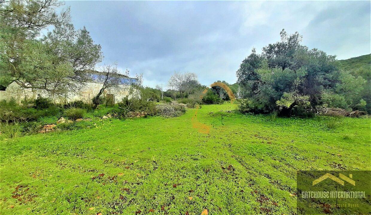 2 Hectare Plot With Ruin In Loule Algarve For Sale 6