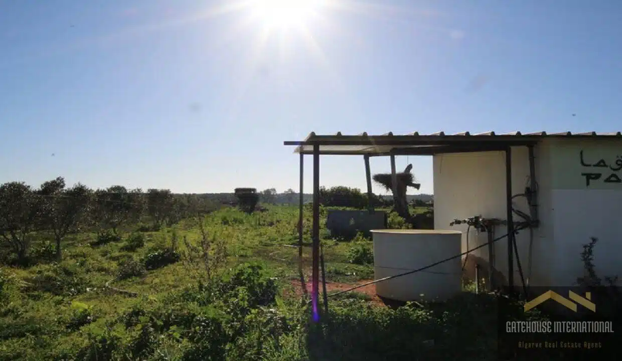 Algarve Farmhouse With 12 Hectares In Odiaxere Algarve43