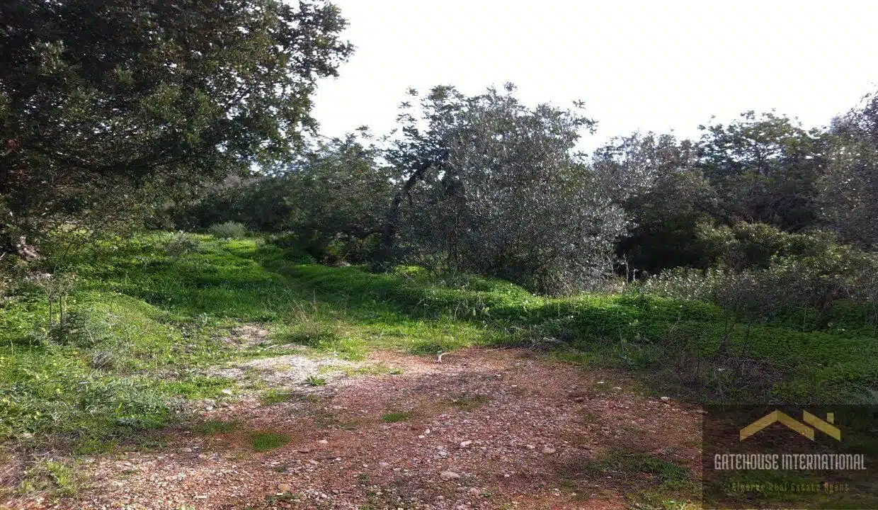 Algarve 1.25 Hectare Plot For Development In Loule Countryside 4