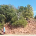 Land For Development With Approval For 11 Apartments In Messines Algarve
