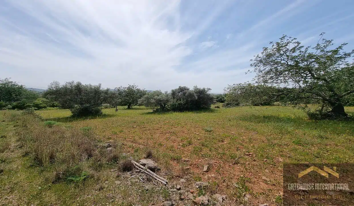 Property Ruin With Land Measuring 2.7 Hectares In Sao Bras Algarve 6