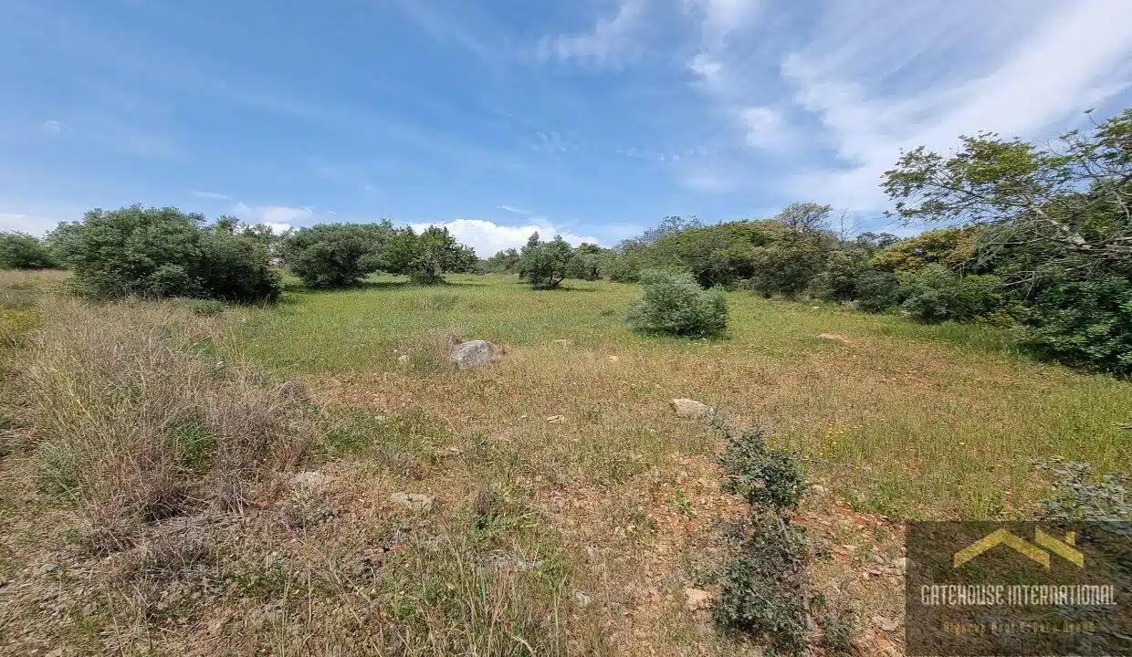 Property Ruin With Land Measuring 2.7 Hectares In Sao Bras Algarve 8