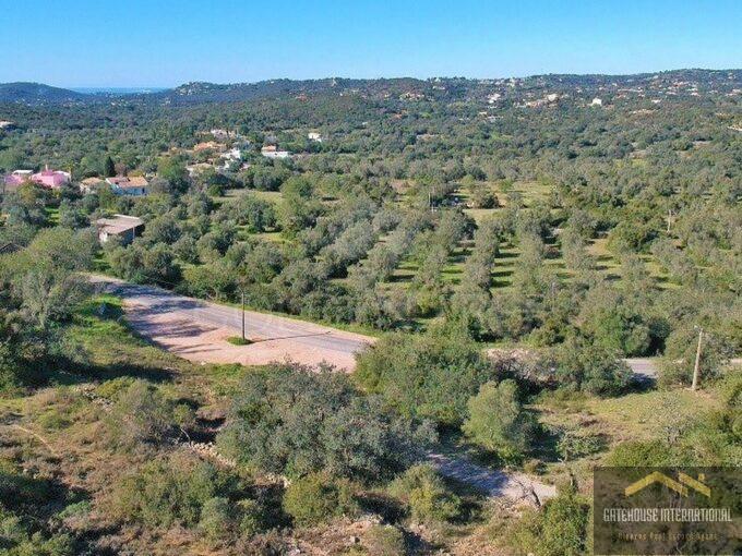 Terrain de 1 hectare à vendre à Santa Barbara de Nexe Algarve