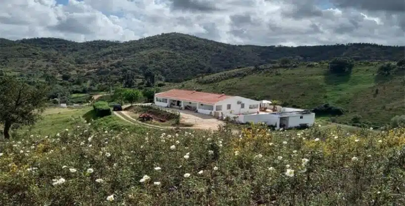 4 Bed Farmhouse With 3.65 Hectares In Sao Marcos da Serra Central Algarve33