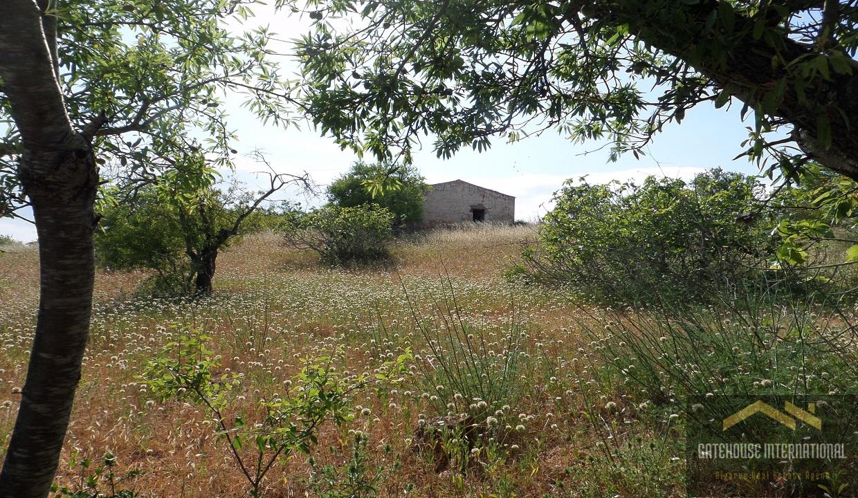 Albufeira Ruin With a 2.7 Hectare Plot In Guia Algarve2