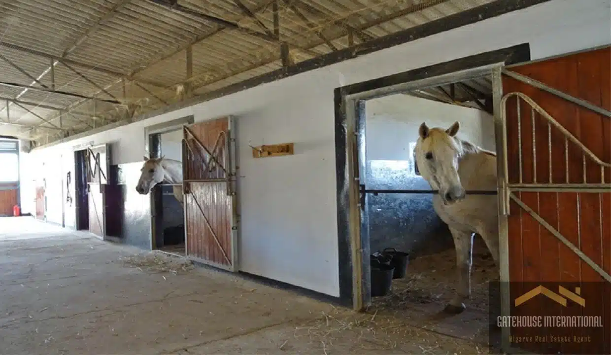 Alentejo Portugal Farmhouse With Equestrian Facilities For Sale 333