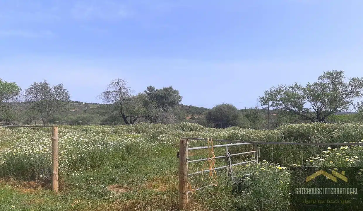 Central Algarve Property Ruin With Land In Tunes 9