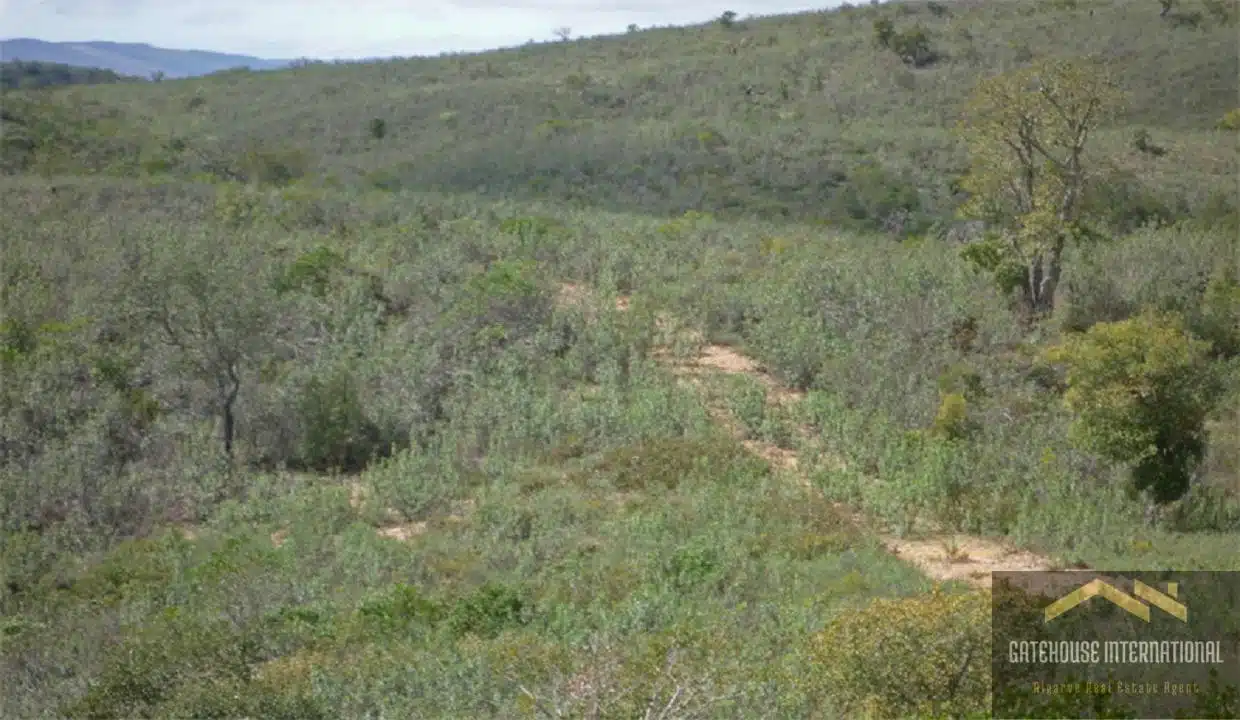 Property Ruin 78 Hectares Of Land In Central Algarve 4