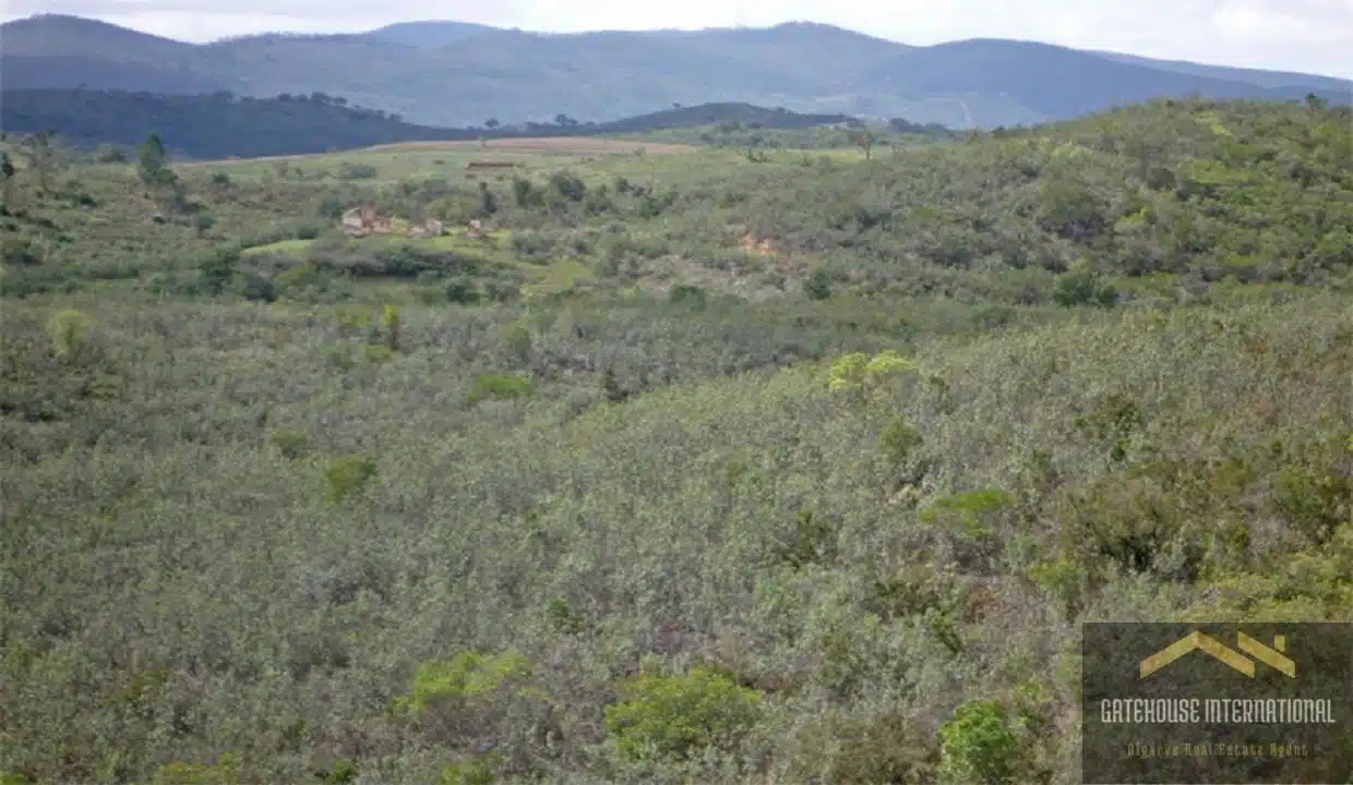 Property Ruin 78 Hectares Of Land In Central Algarve 5