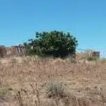 Ruin With A 4 6 Hectare Plot In Montinhos da Luz Algarve 1 transformed