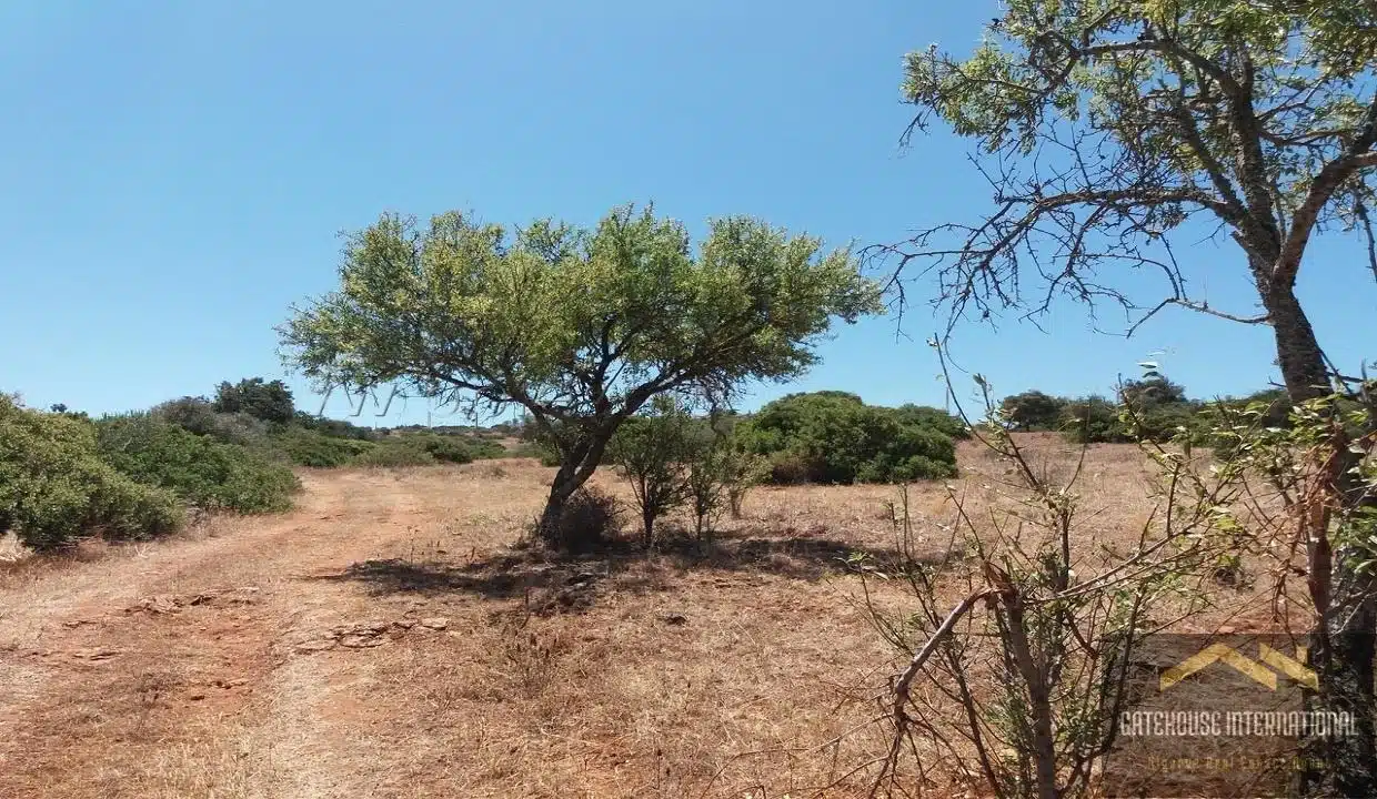 Ruin With A 4 6 Hectare Plot In Montinhos da Luz Algarve 5 transformed