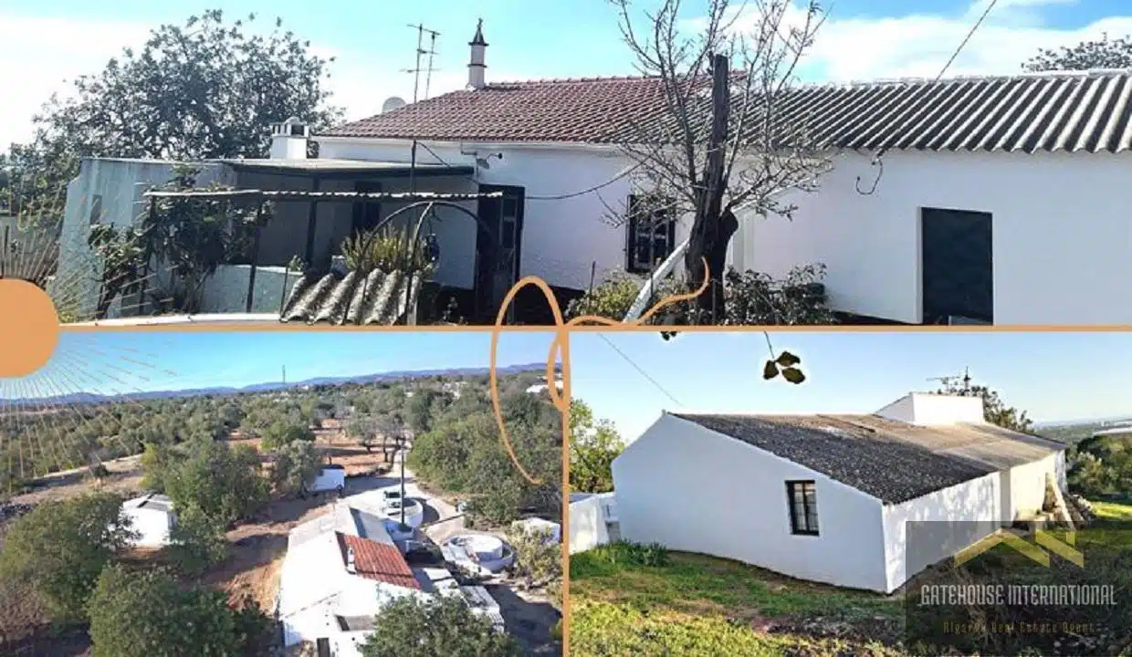 Farmhouse For Renovation With 2 Hectares In Tavira Algarve 5