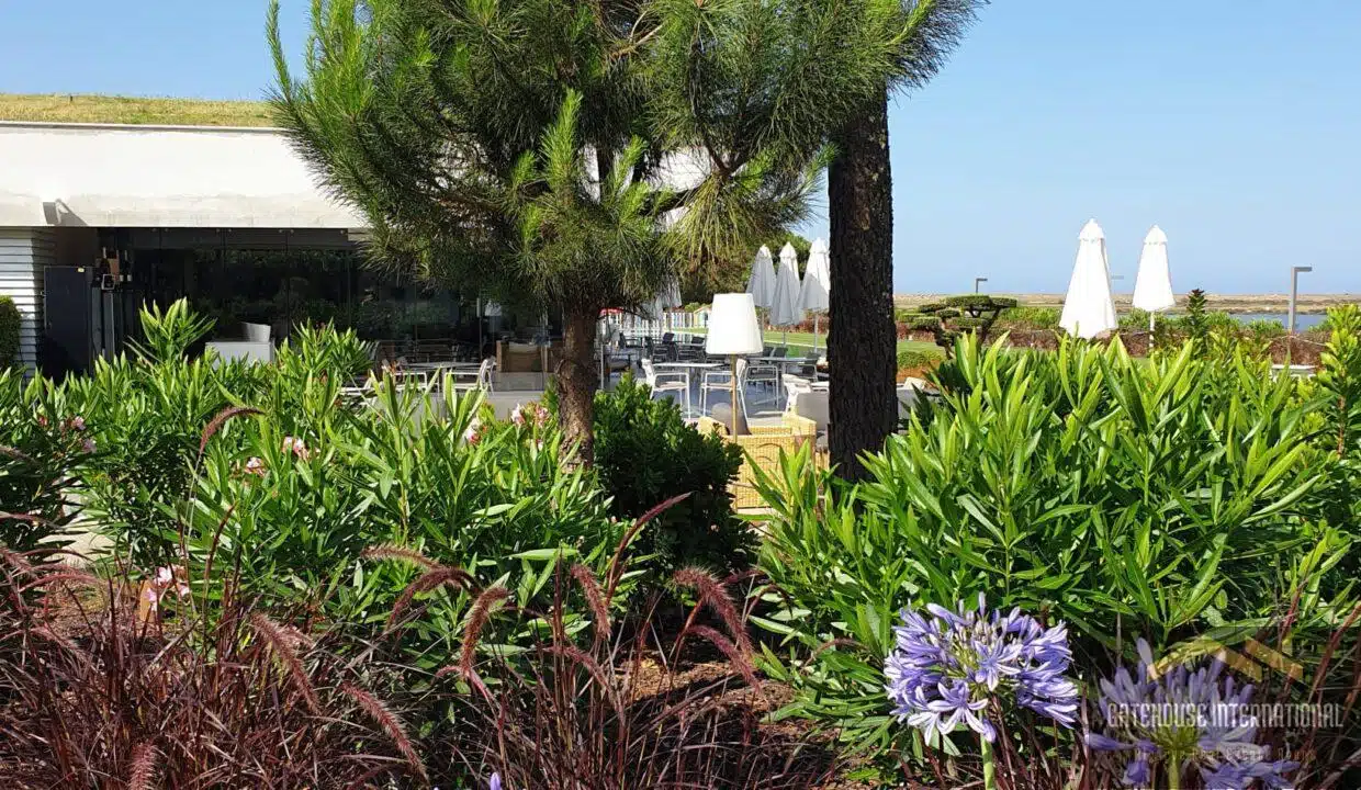 New Algarve Property - Hiring a Garden Designer or DIY