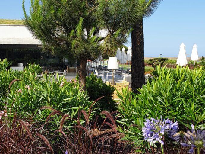 New Algarve Property - Hiring a Garden Designer or DIY