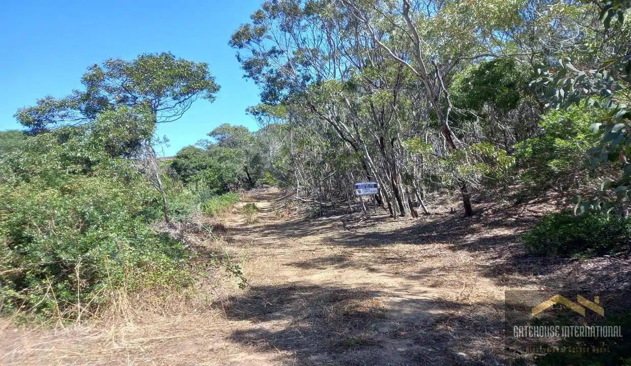 8.7 Hectare West Algarve Plot With A Ruin In Figueira Algarve