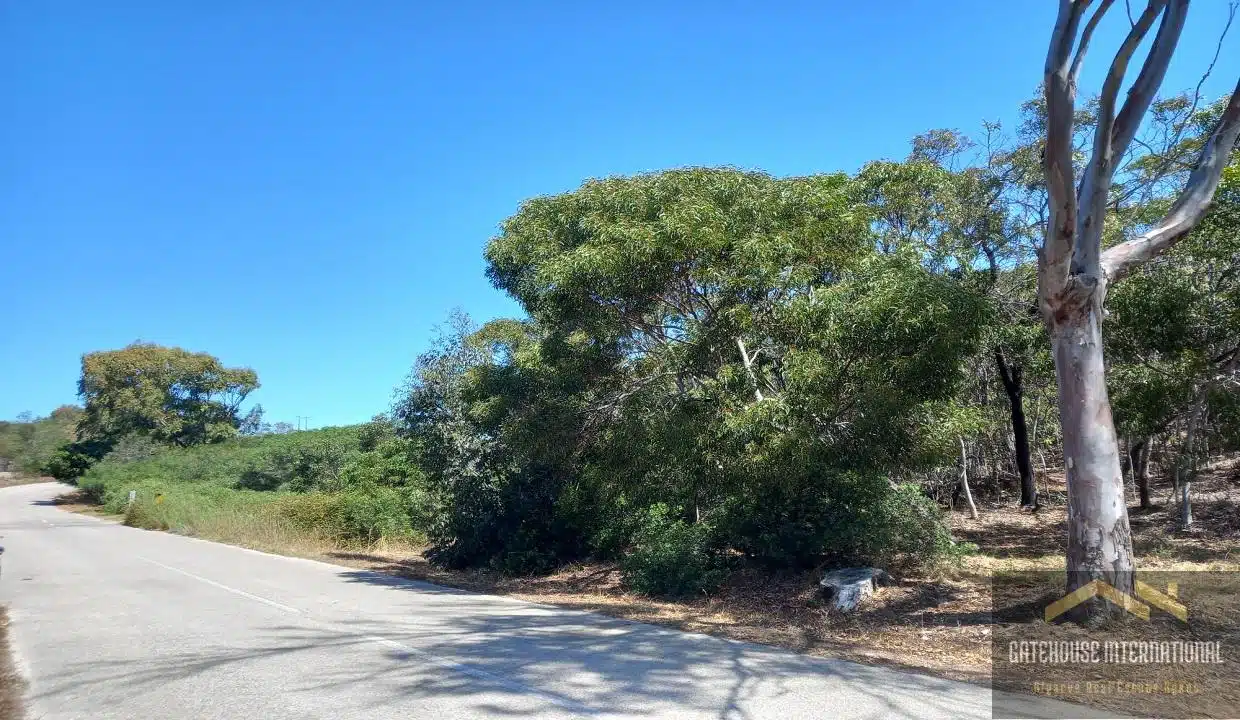 8.7 Hectare West Algarve Plot With A Ruin In Figueira Algarve