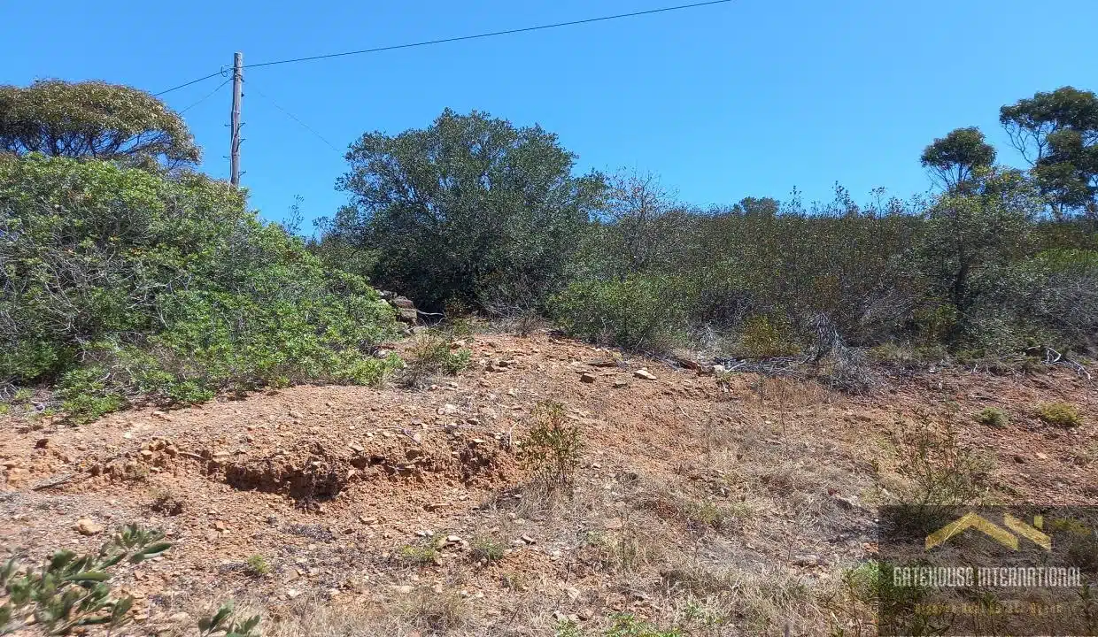 8.7 Hectare West Algarve Plot With A Ruin In Figueira Algarve