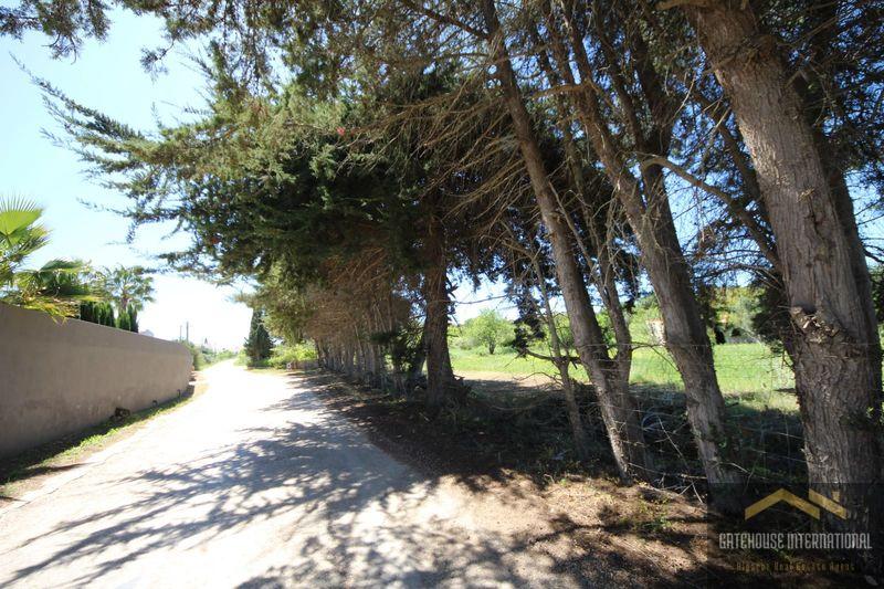Rustic Land With Fruit Trees In Montinhos da Luz Algarve