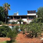 5 Bed Farmhouse For Sale In Santa Barbara de Nexe Algarve 1