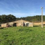 21 Hectare Plot Of Land With Ruin For Sale In Aljezur Algarve 3