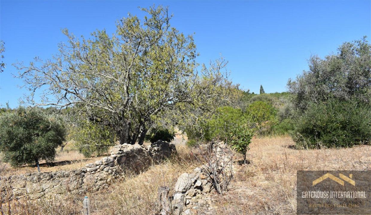 2 Bed Farmhouse For Renovation With 1.5 Hectares In Porches Algarve 65