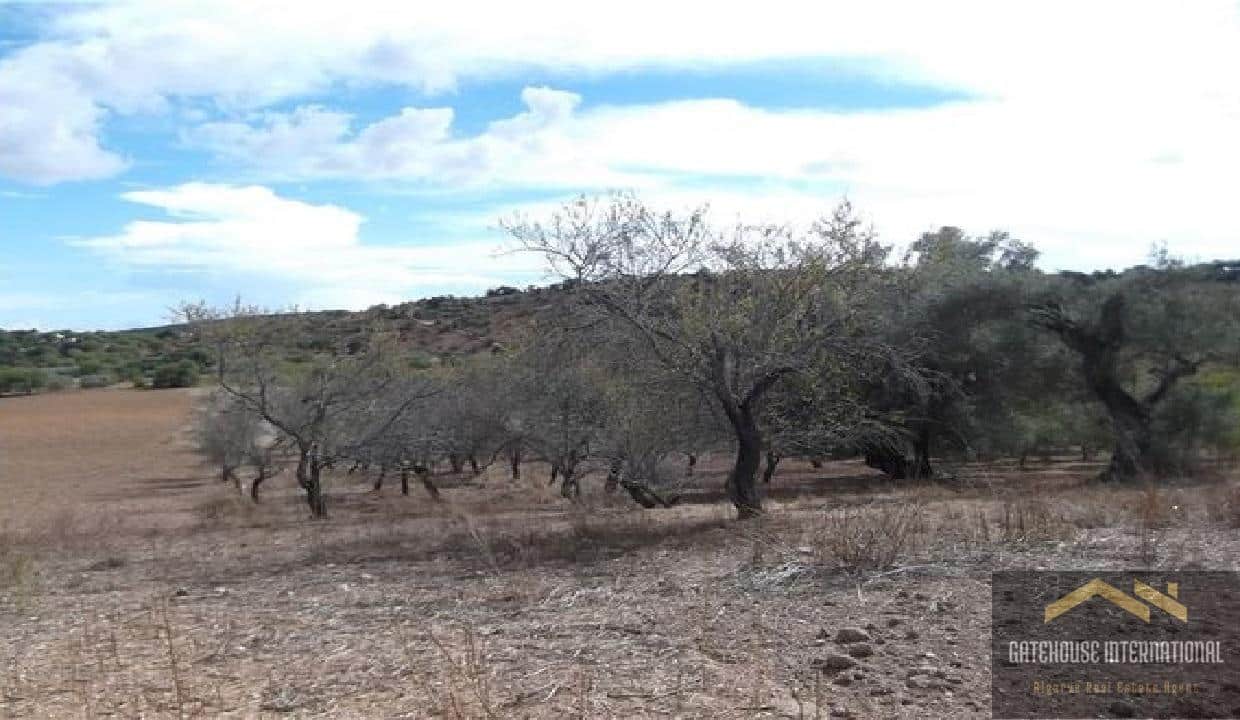 East Algarve Ruin With 1.5 Hectares In Santa Catarina 2