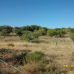 Land For Sale In Loule Algarve 4