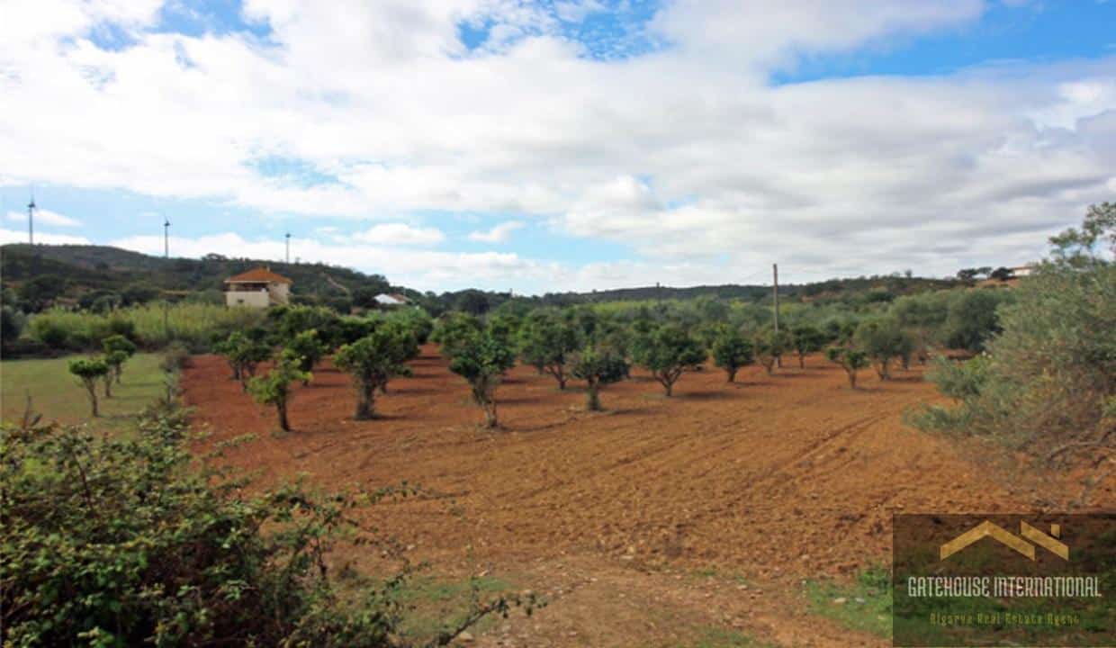 3 Bed Farmhouse With 1.3 Hectares In Messines Algarve 66