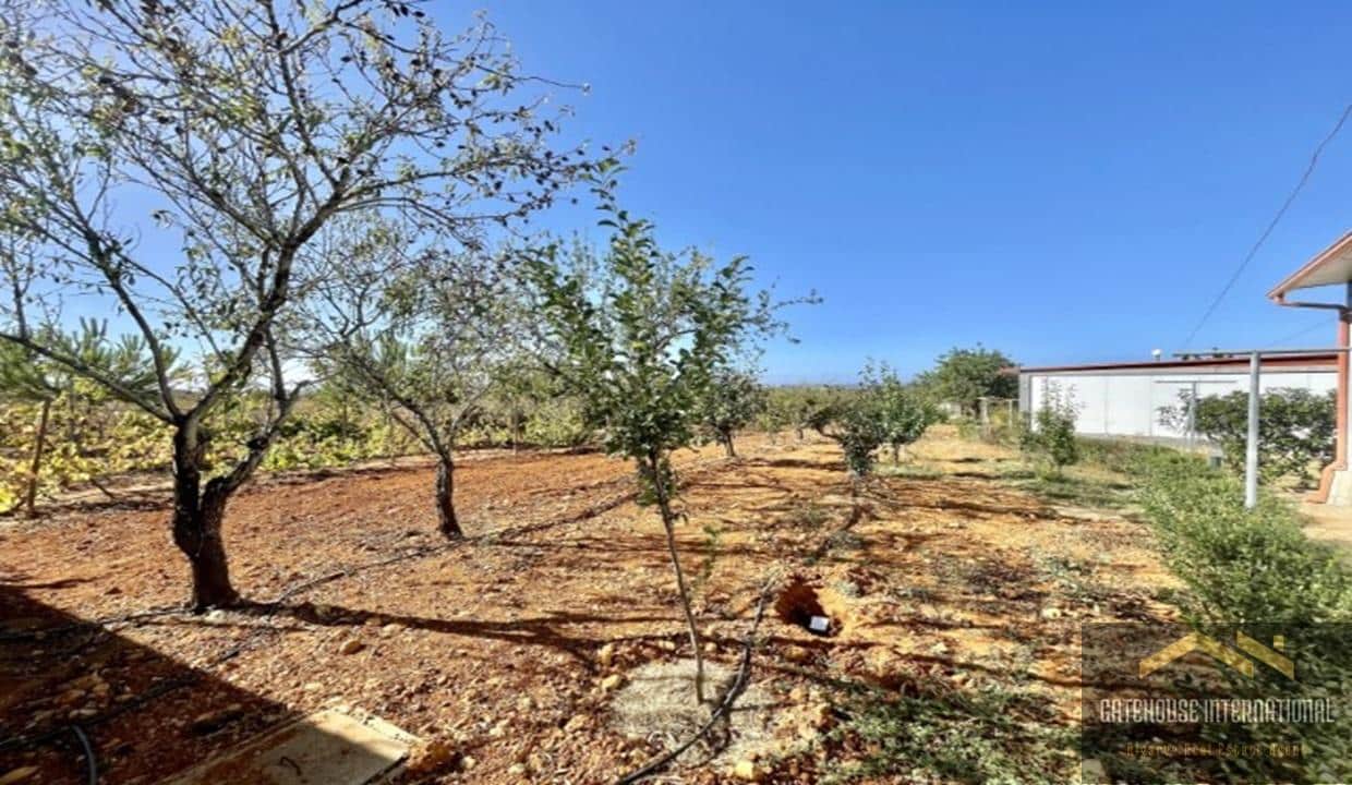 4 Bed Farmhouse With 1.6 Hectares In Guia Albufeira Algarve 0