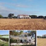 4 Bed Villa With 2.75 Hectares In Almancil Algarve
