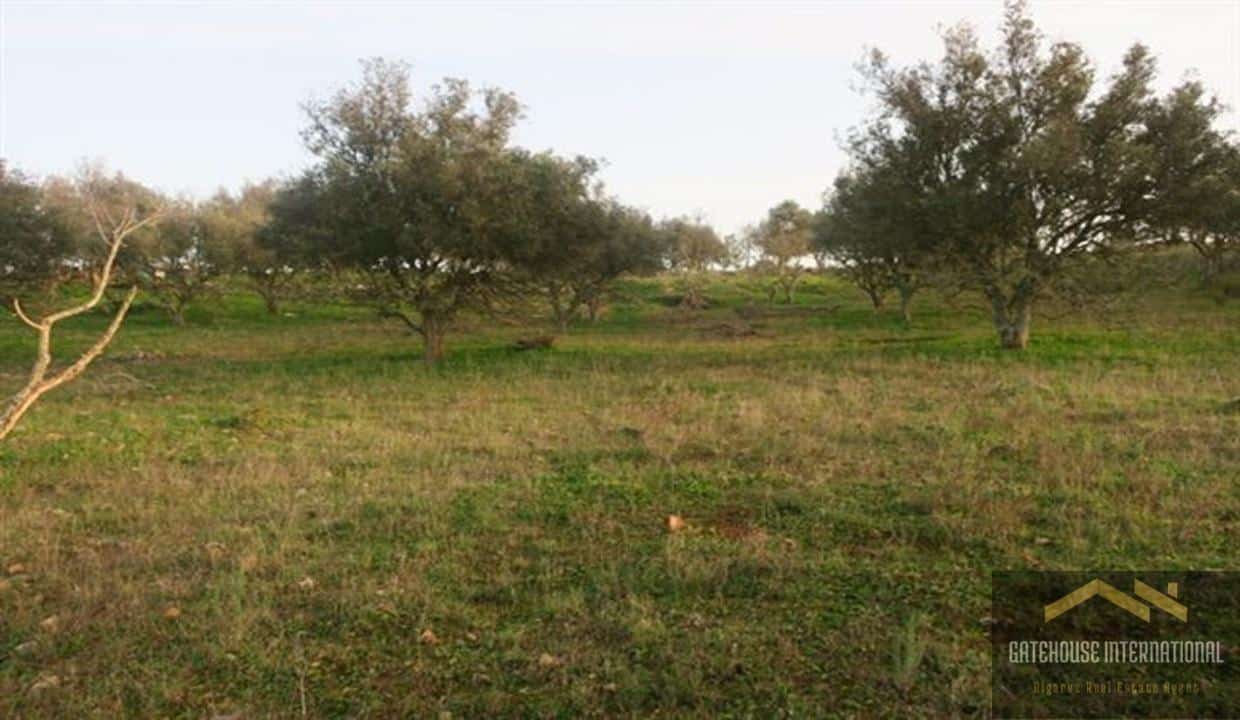4.3 Hectares With 2 Ruins Allowing To Build 2 Villas In West Algarve4