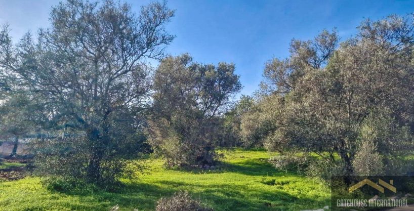 Building Land For 4 Houses In Sao Bras de Alportel Algarve