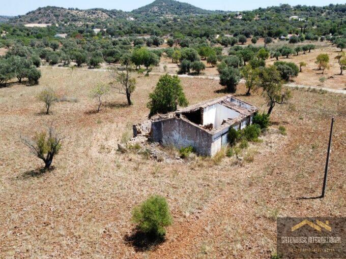 Ruine et terrain de 1 hectare près d'Estoi Algarve à vendre8