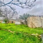 Ruin Farmhouse For Sale In Loule Algarve 4