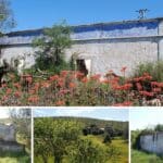 Ruin With 2 Hectares In Loule Algarve For Sale