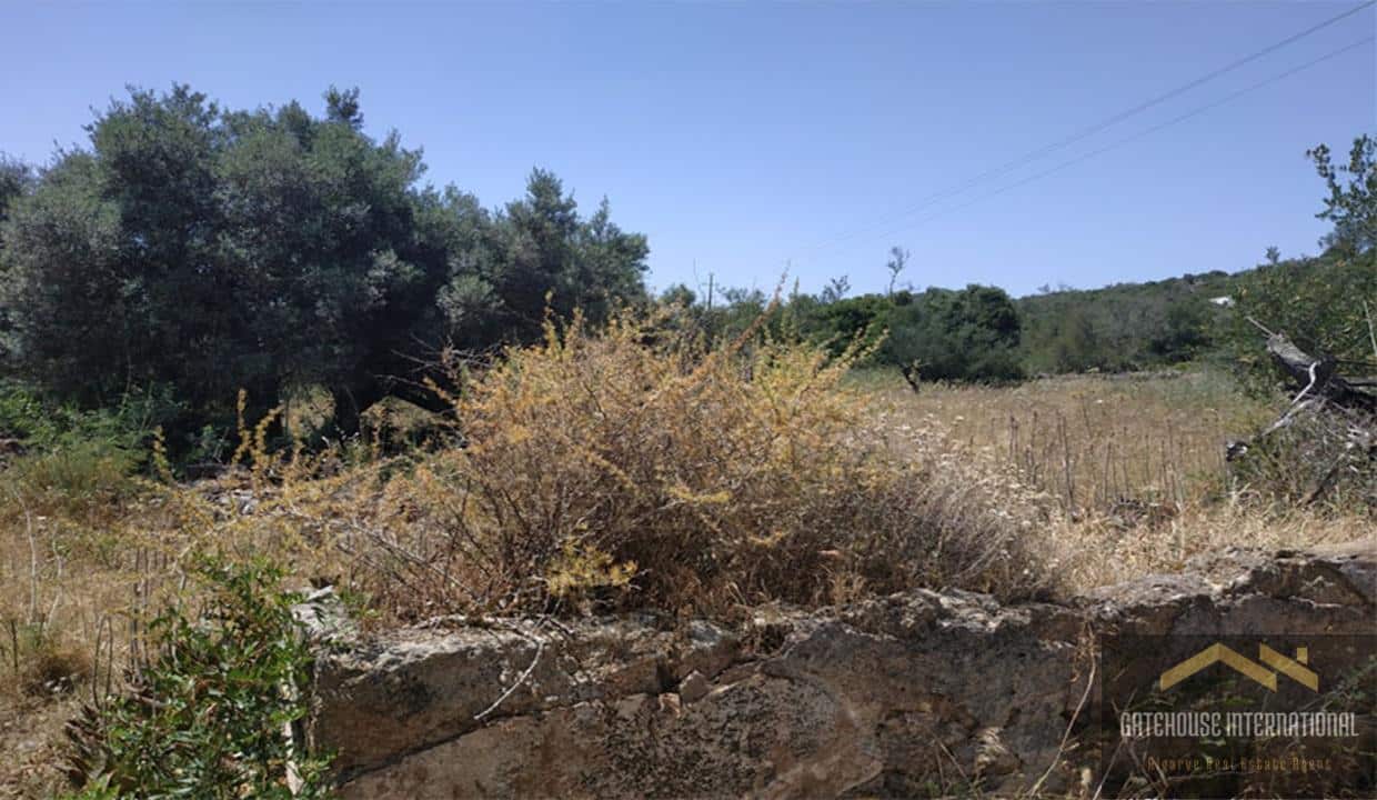 Ruin With 2 Hectares In Loule Algarve For Sale 54